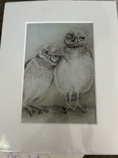 Burrowing Owls Prints