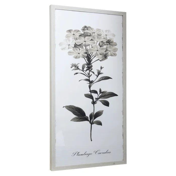Flower Framed Prints Under Glass- 2 Styles