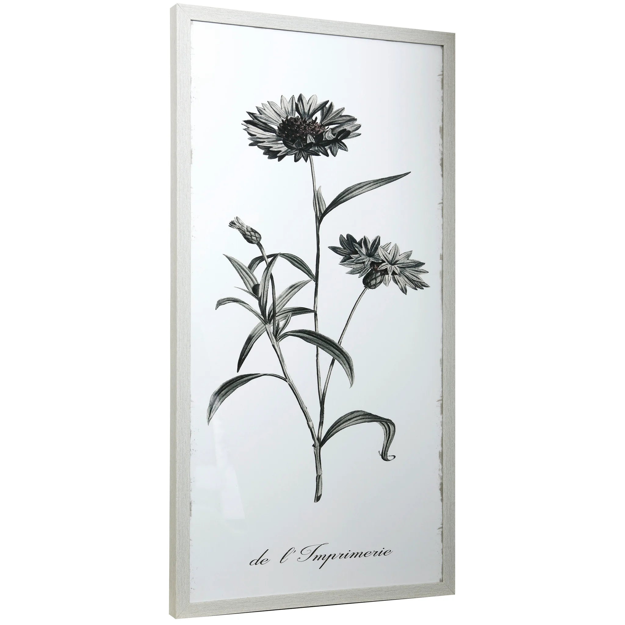 Flower Framed Prints Under Glass- 2 Styles
