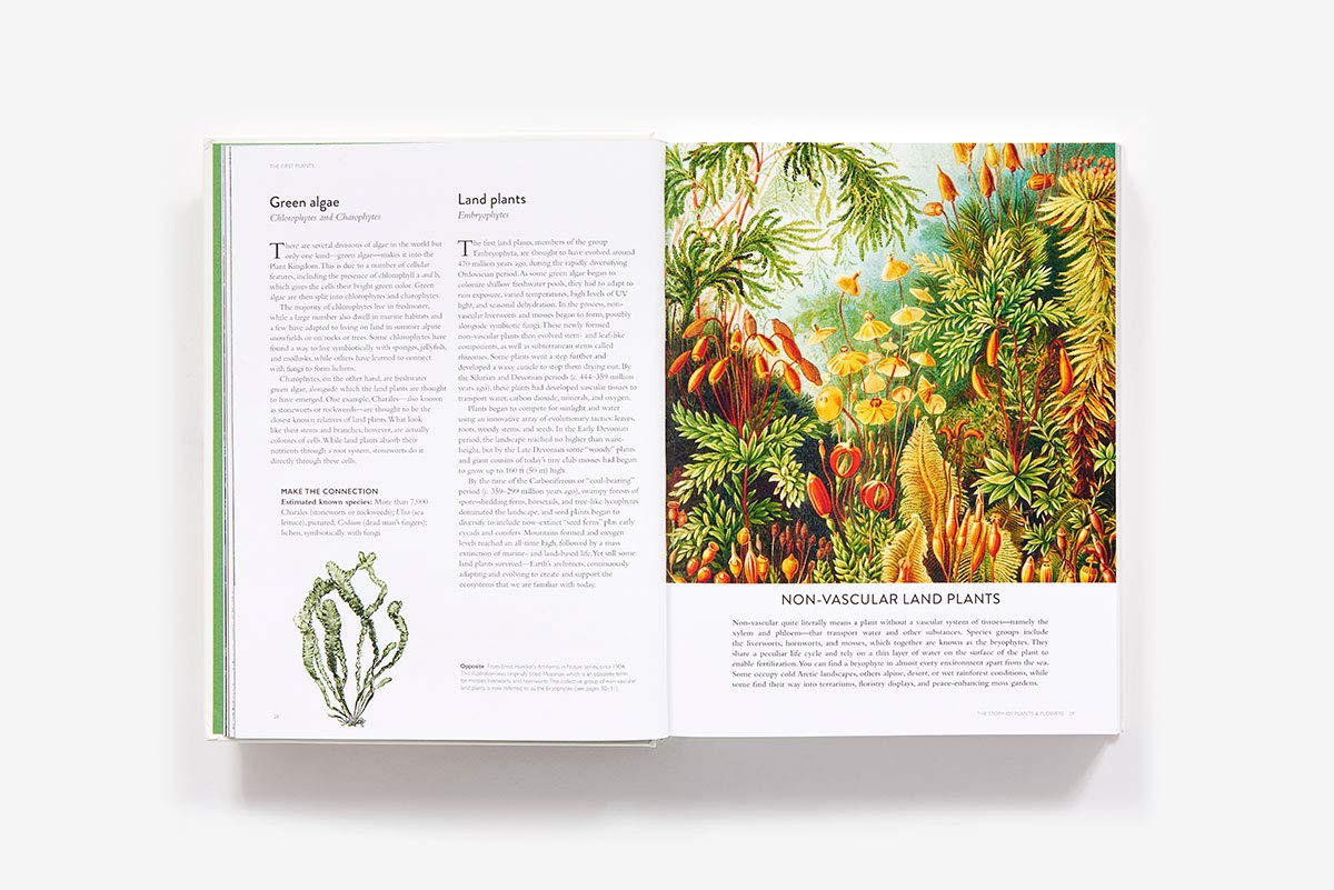 The Botanical Coffee Table Book